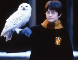 Hedwig, Harry Potter