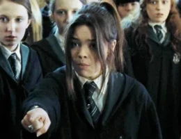 Pansy, Harry Potter